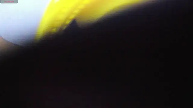 Alice bloom  online show from January 2026 05:57:01 AM