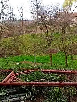 Medelin92 online show from April 2026 05:49:01 AM