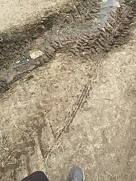 parabellumm online show from April 2026 01:58:02 PM