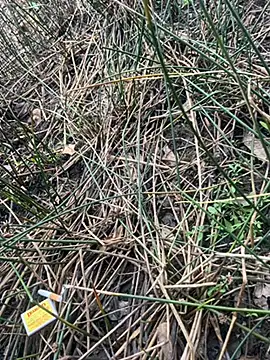 Yurt000 online show from September 2025 04:57:01 AM