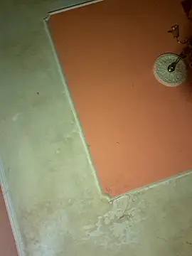 Snapshot of ducicsajsziii chatting on March 2025 10:38:02 PM ducicsajsziii online show from March 2025 10:38:02 PM