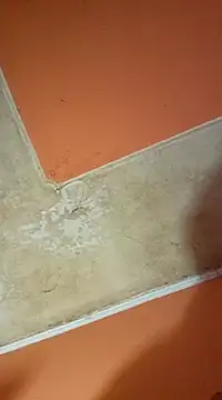 Snapshot of ducicsajsziii chatting on March 2025 03:08:02 PM ducicsajsziii online show from March 2025 03:08:02 PM