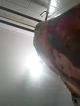 bruna safadinhaa online show from December 2024 11:34:02 AM