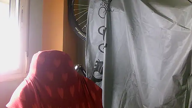 porkorossy online show from November 2025 11:42:02 AM