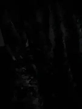 Snapshot of demonslayerr999 chatting on December 2024 06:33:01 AM demonslayerr999 online show from December 2024 06:33:01 AM