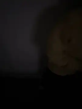 Snapshot of demonslayerr999 chatting on January 2025 09:53:02 AM demonslayerr999 online show from January 2025 09:53:02 AM