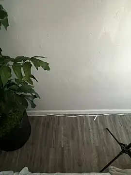 Snapshot of demonslayerr999 chatting on February 2025 04:24:02 PM demonslayerr999 online show from February 2025 04:24:02 PM