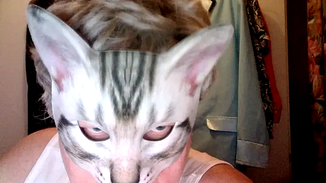 Snapshot of Sigorius chatting on February 2026 02:54:02 AM Sigorius online show from February 2026 02:54:02 AM