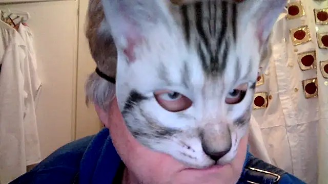 Snapshot of Sigorius chatting on March 2026 02:45:02 PM Sigorius online show from March 2026 02:45:02 PM