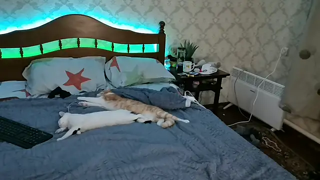 FelvivalKitty online show from January 2025 09:23:02 PM