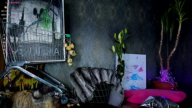 little grinch666 online show from January 2025 07:59:02 PM