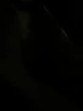 Snapshot of RoodoggXL chatting on March 2025 03:20:01 AM RoodoggXL online show from March 2025 03:20:01 AM