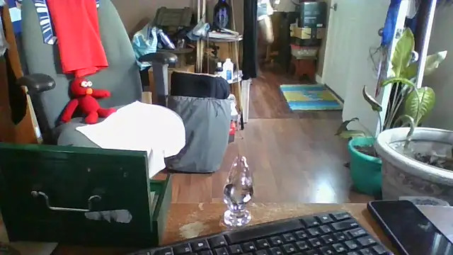 Daremeknot online show from December 2024 07:00:02 PM