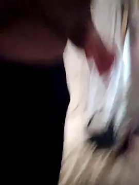 sweetkitty111 online show from February 2026 08:27:01 PM