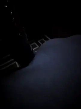 Southern Bella online show from November 2025 08:03:01 AM