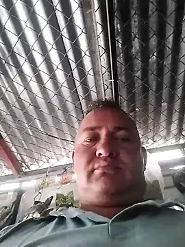 wili 203 online show from November 2025 03:00:01 PM
