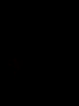 donkeyCOCC online show from October 2025 11:46:02 AM