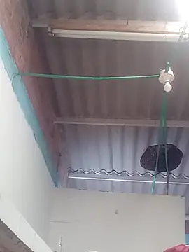 mailo bronw online show from March 2026 03:13:02 PM