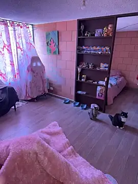 Sachi Meow online show from February 2026 06:06:02 PM