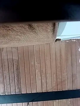 Yeyeyleidi online show from October 2025 03:40:02 AM