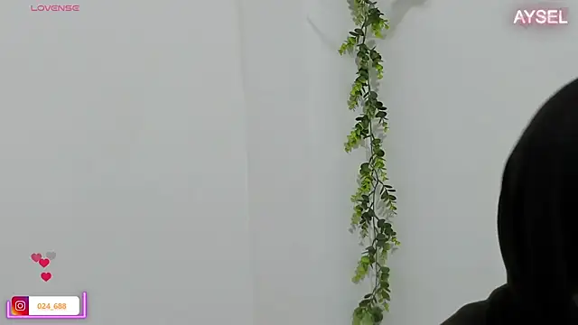 Snapshot of aysel_elid chatting on January 2025 12:06:02 AM aysel elid online show from January 2025 12:06:02 AM