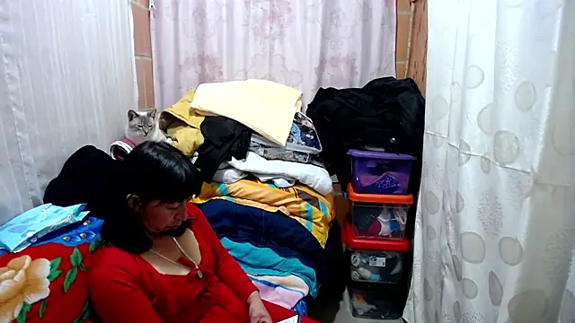 Snapshot of Malaya88 chatting on February 2025 03:50:01 AM Malaya88 online show from February 2025 03:50:01 AM