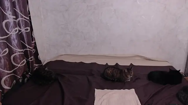 Olivia Winston online show from April 2026 02:39:01 AM