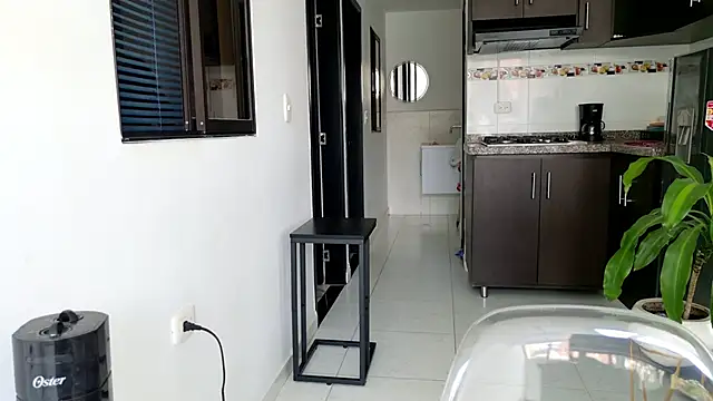 grey   27 online show from February 2025 03:59:01 PM