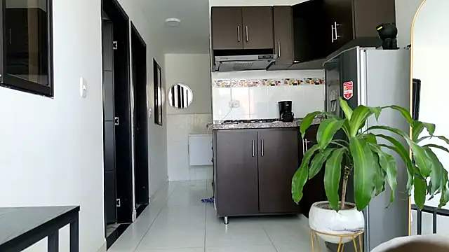 grey   27 online show from March 2025 05:11:02 PM