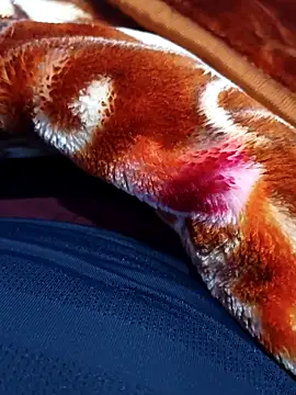 ak007 desire online show from December 2025 04:00:01 PM