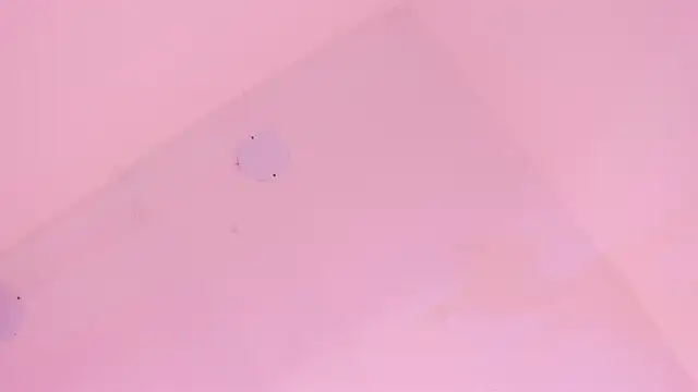 Snapshot of LoveQueen2 chatting on January 2026 11:47:01 AM LoveQueen2 online show from January 2026 11:47:01 AM