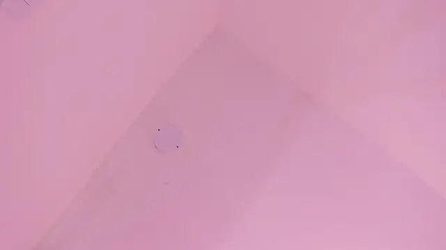 Snapshot of LoveQueen2 chatting on January 2026 11:56:01 AM LoveQueen2 online show from January 2026 11:56:01 AM