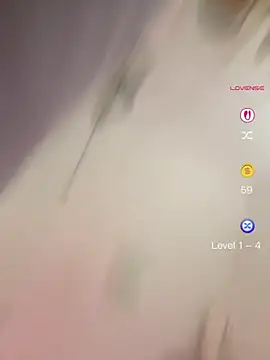 licoricepizza online show from July 2026 06:57:02 PM
