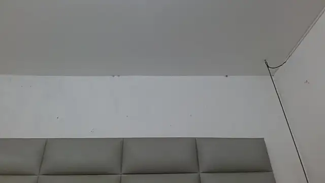 emily brontee  online show from November 2025 01:21:02 PM