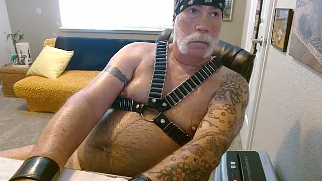 musclebearnips online show from June 2026 05:55:01 PM