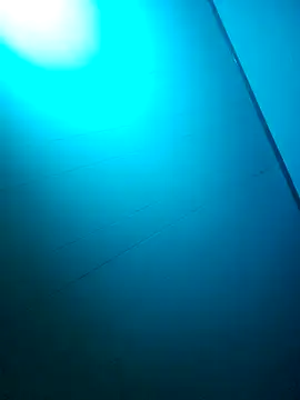 Snapshot of nicedicknicetats chatting on October 2025 05:08:01 AM nicedicknicetats online show from October 2025 05:08:01 AM