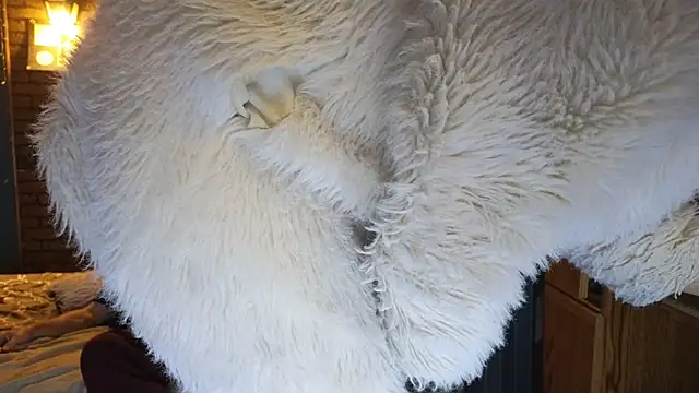 PropertyAndBiker online show from December 2024 02:20:02 AM