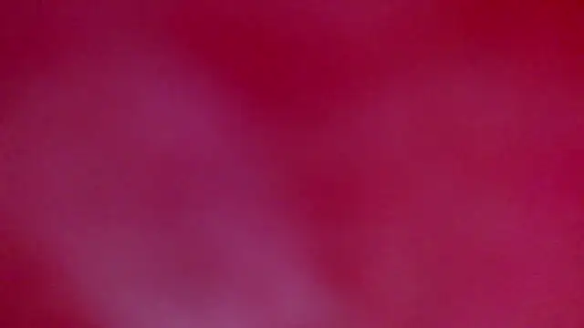 ray and 666 online show from January 2026 07:45:01 AM