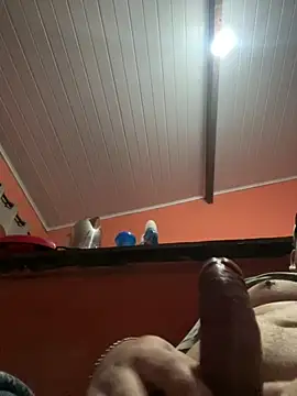 brunogordin69 online show from September 2025 07:01:02 AM