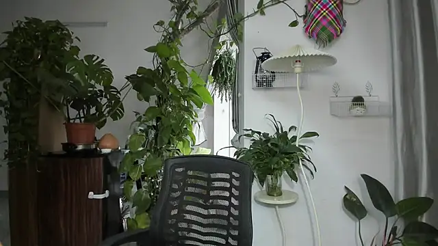 Oliver Nl online show from November 2025 04:56:02 AM