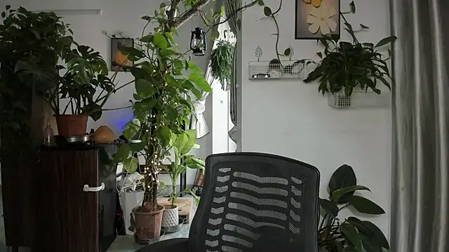 Oliver Nl online show from December 2025 05:02:02 AM