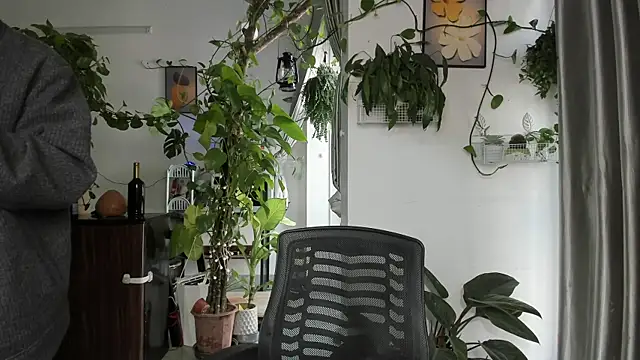 Oliver Nl online show from January 2026 04:15:01 AM