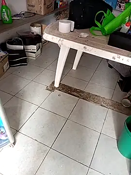 VivienAndClark online show from December 2025 03:18:02 PM