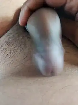 Dog546i online show from September 2025 09:54:01 AM