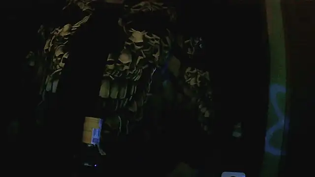 Snapshot of perversalus chatting on December 2025 11:45:01 PM perversalus online show from December 2025 11:45:01 PM