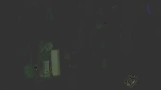 Snapshot of perversalus chatting on December 2025 05:29:01 PM perversalus online show from December 2025 05:29:01 PM