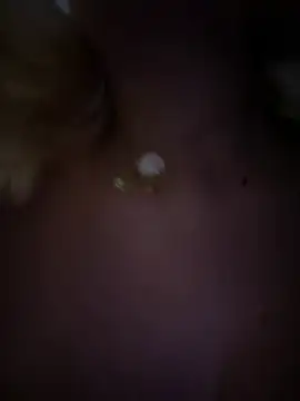 Snapshot of Enyeld_ruru chatting on February 2025 12:09:01 AM Enyeld ruru online show from February 2025 12:09:01 AM