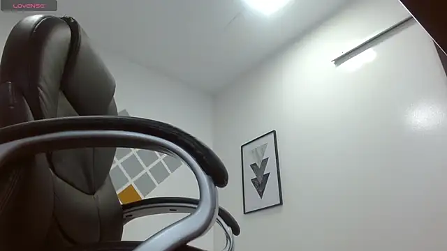 Snapshot of DmitriSanders chatting on January 2025 02:41:01 PM DmitriSanders online show from January 2025 02:41:01 PM