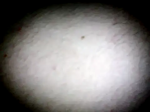 anald66666 online show from January 2025 07:43:02 AM