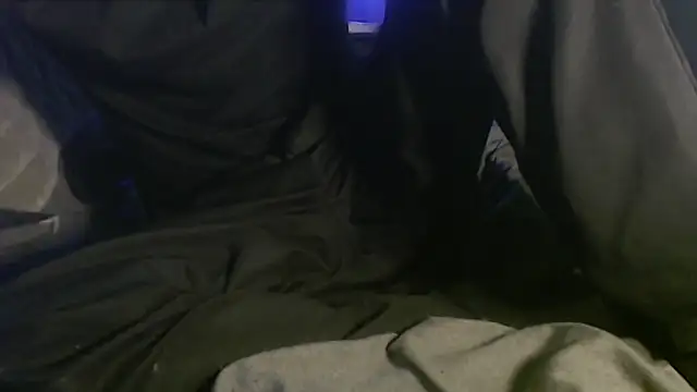 Dogz n daugthers online show from February 2025 10:00:01 AM